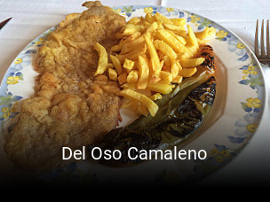 Del Oso Camaleno abrir