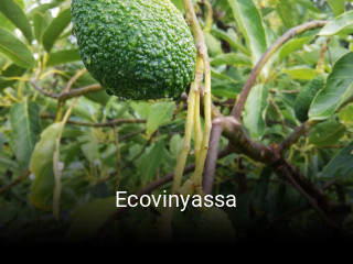 Ecovinyassa plan de apertura