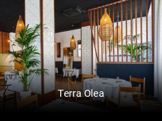 Terra Olea horario comercial