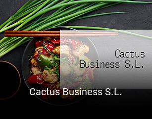 Cactus Business S.L. plan de apertura