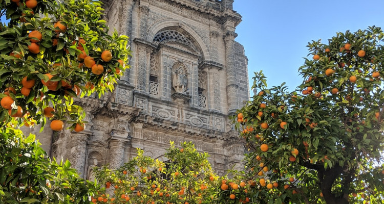 Jerez de la Frontera